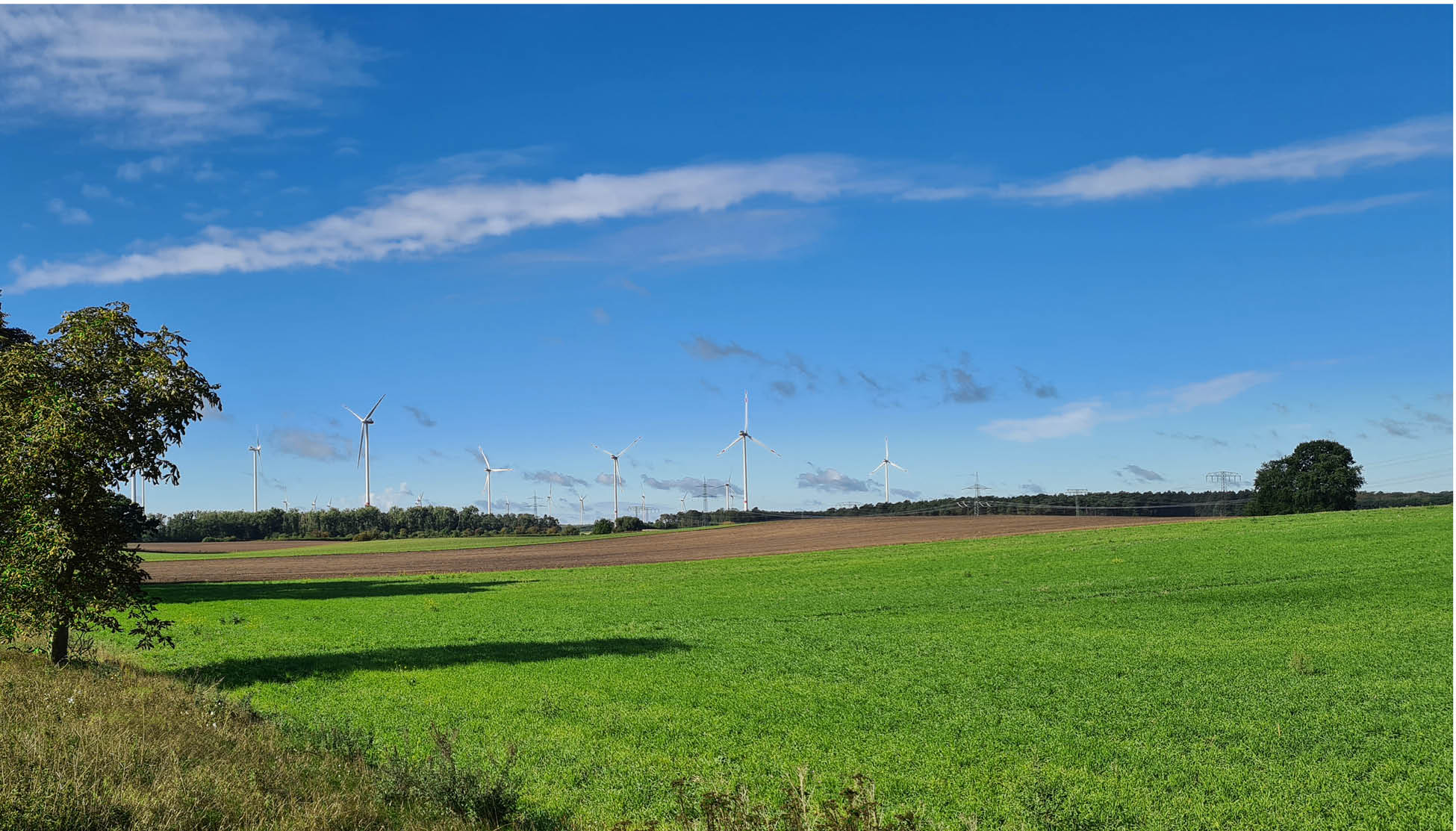 Ein weites Feld mit grünem Gras im Vordergrund und Windkraftanlagen im Hintergrund unter einem blauen Himmel mit vereinzelten Wolken. Auf der linken und rechten Seite des Bildes stehen einige Bäume.